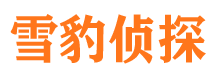 灯塔侦探公司